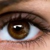 eye