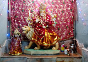 समीपवर्ती प्रतापपुरा में सजा मां शाकम्भरी माता मंदिर