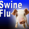 swine flu logo