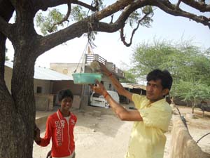 परिन्दो के लिए पानी डालते रणजीत केषावत, प्रेस फोटो प्रधान धाकड़