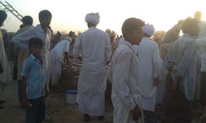 IMG-20150424-WA0093