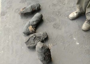 a1