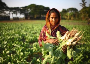 Bangladesh - Microfinance and Technical Support Project - Decemb