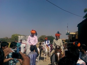 IMG_20151121_124142