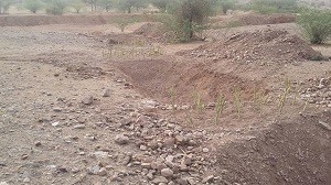 ग्राम पंचायत बलाड में वर्षा जल को रोकने हेतु बनाए गए संकन गली पिट 