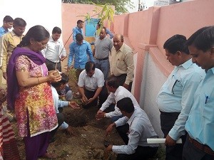 विद्यालयों में पौधारोपण करते संस्था प्रधान, शिक्षकगण एवं विद्यार्थी