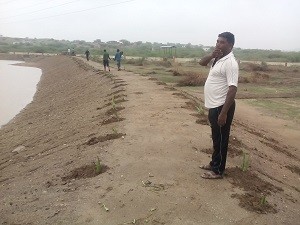 मुख्यमंत्राी जल स्वावलम्बन अभियान के तहत गढ़ीथोरियान में मिट्टी के बंध पर ग्वारपाटे का क्रमवार  रोपण