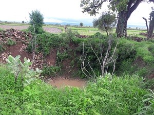 IMG-20160820-WA0316