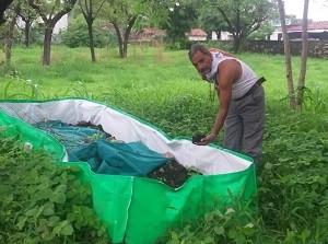 खेत पर वर्मी कम्पोस्ट दिखाते हुए किसान 