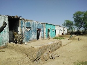 सहरिया आवास जीर्ण शीर्ण अवस्था में