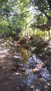 tapo2