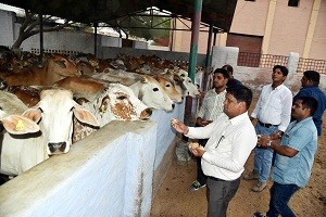 bhati birth-1