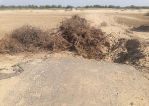 IMG-20170925-WA0517