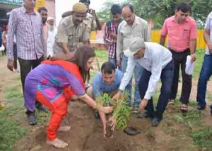 गगवाना में वृक्षारोपण करते हुए जिला कलक्टर डाॅ. आरूषी मलिक 
