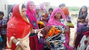 IMG_2780