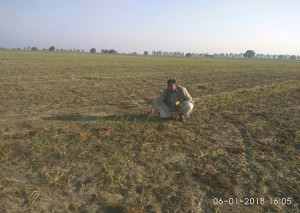 IMG-20180106-WA0211